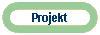 Projekt